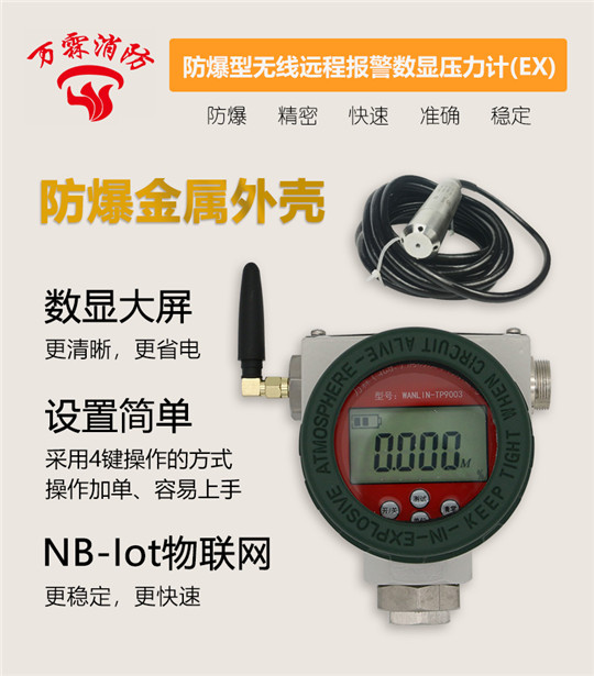 防爆型無(wú)線(xiàn)遠傳報警數顯液位計(EX)
